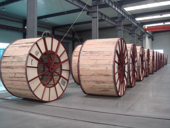 一飞冲天300倍游戏(中国游)·官方网站