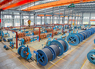 一飞冲天300倍游戏(中国游)·官方网站