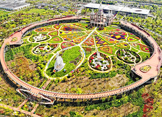 一飞冲天300倍游戏(中国游)·官方网站