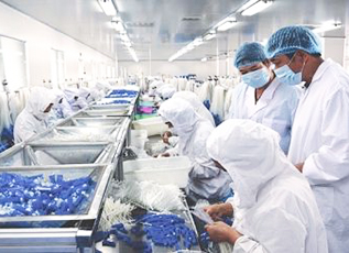 一飞冲天300倍游戏(中国游)·官方网站