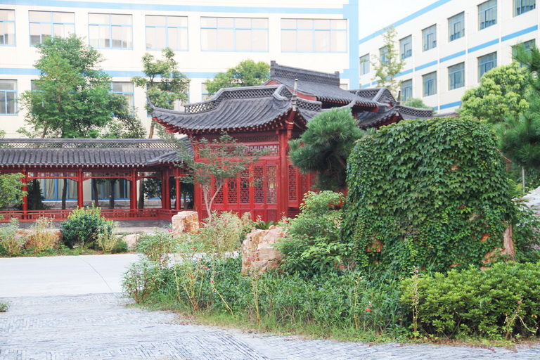 一飞冲天300倍游戏(中国游)·官方网站